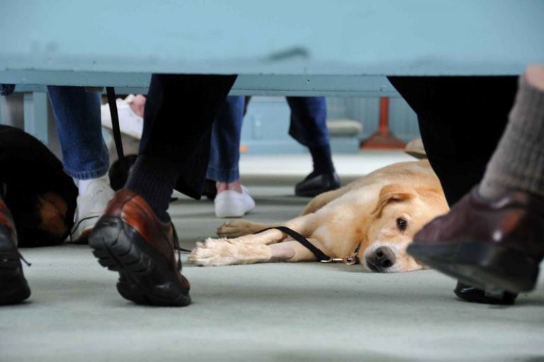 Hopewell Church – Hopewell Museum