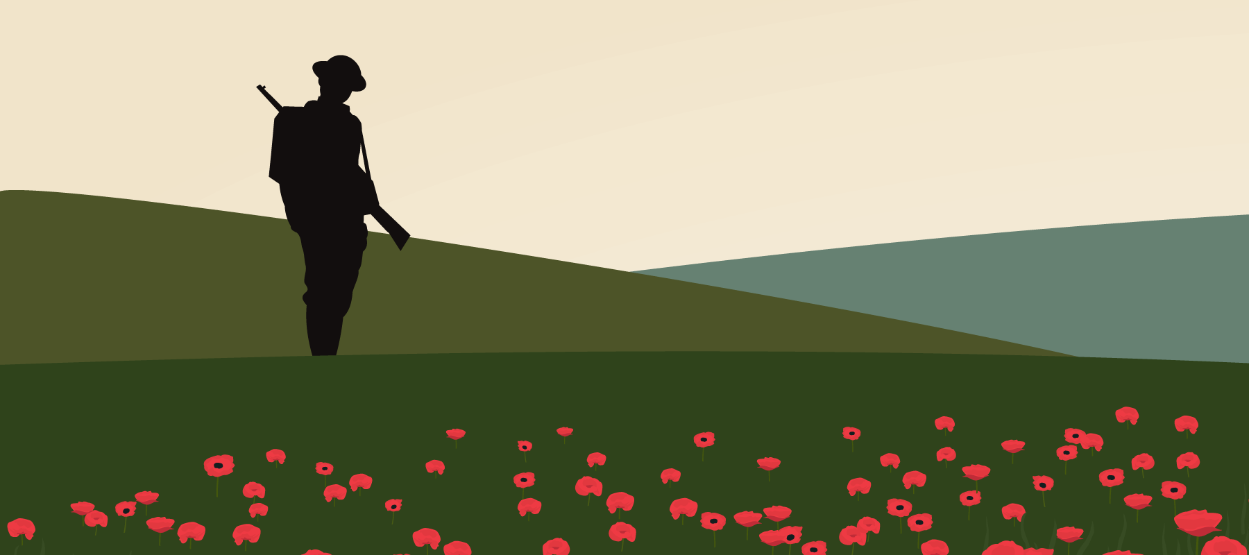 lonely soldier in poppy field