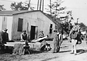 Black and white photograph of 5 African American men working outside breaking hemp. There is a white barn structure in the background. 1 man holds a large bundle on his back.