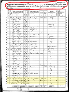 1860 Census showing Louisa Kleizer
