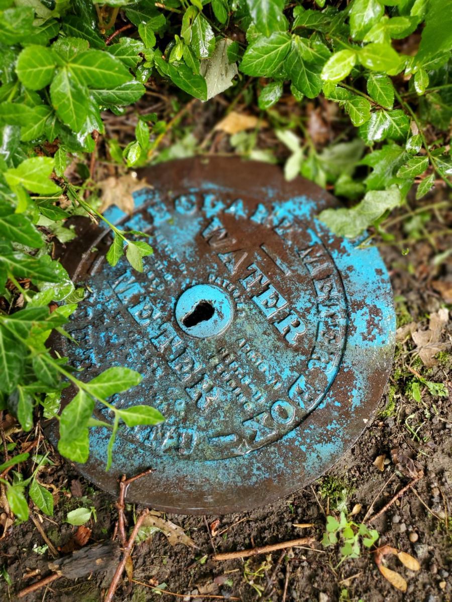 Photo assignment: Find something that represents colors on the rainbow for a photo series.Photo: Water meter cover, blue by Katy Chumbley