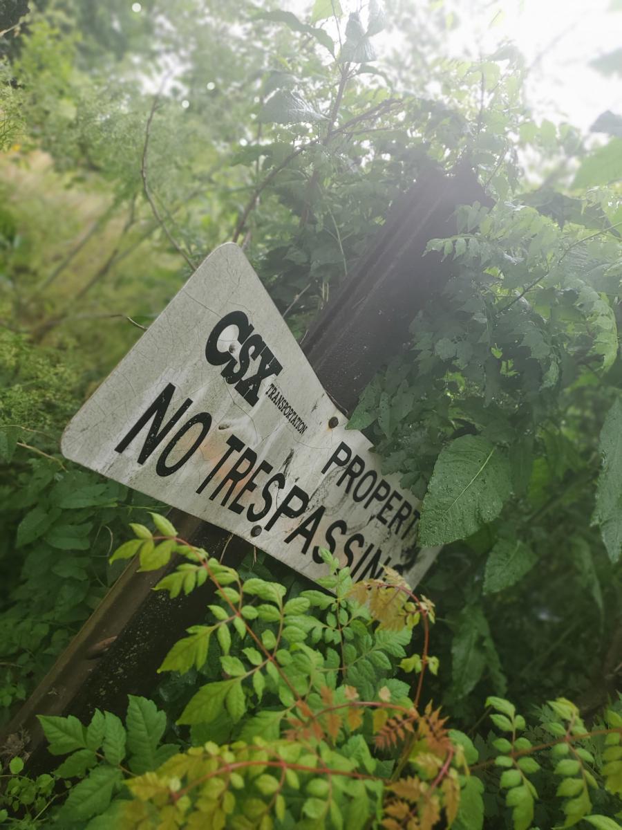 Photo assignment: Take a photo of a scene at different times of day to see light variations.Photo: CSX sign in light mist/rain by Katy Chumbley.